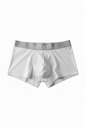 BODIES Brief grey waistband Celine font front view