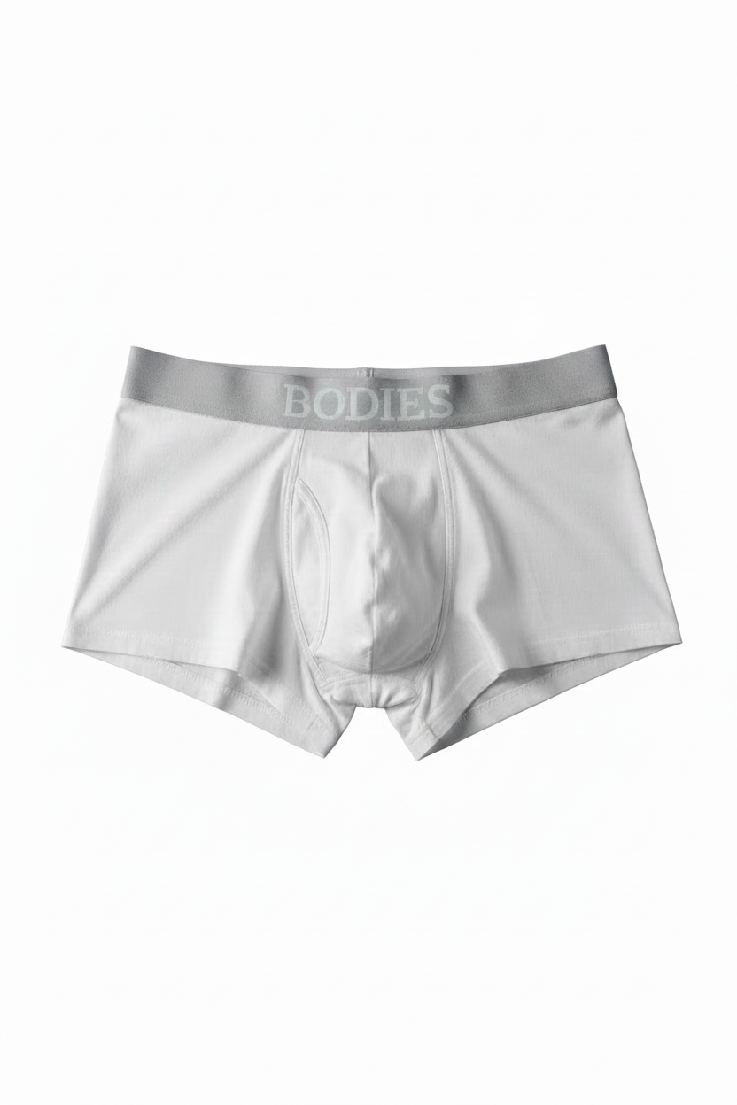 BODIES Brief grey waistband Celine font front view